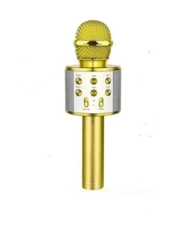 ACL WS-858 Wireless Karaoke Hoparlör (BLS-25)